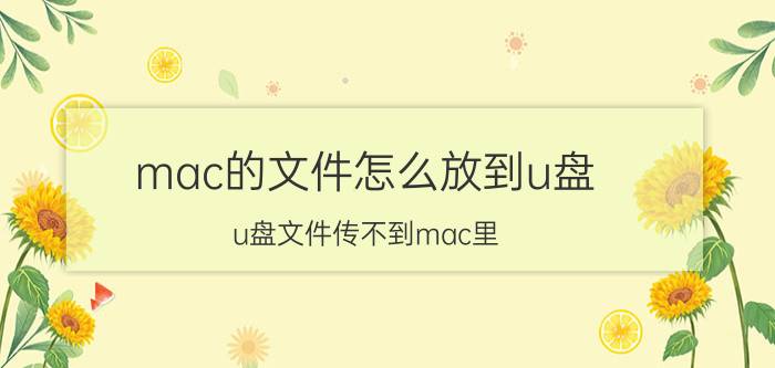 mac的文件怎么放到u盘 u盘文件传不到mac里？